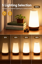( Touch ) 13-Colors LED Light